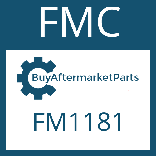 FMC FM1181 - FRICTION PLATE