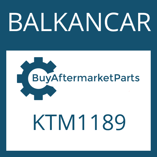 BALKANCAR KTM1189 - FRICTION PLATE