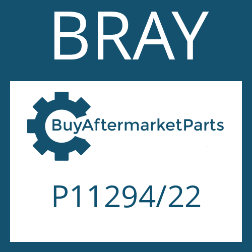 P11294/22 BRAY FRICTION PLATE