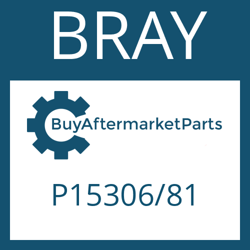 BRAY P15306/81 - FRICTION PLATE