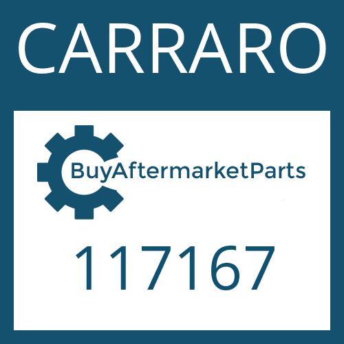 117167 CARRARO FRICTION PLATE