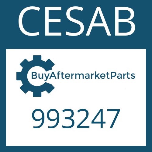 993247 CESAB FRICTION PLATE