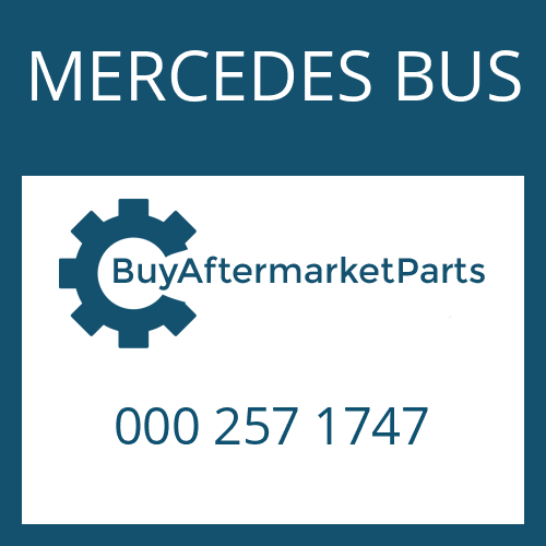 MERCEDES BUS 000 257 1747 - FRICTION PLATE