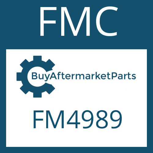 FMC FM4989 - FRICTION PLATE