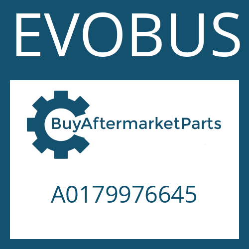 EVOBUS A0179976645 - O-RING