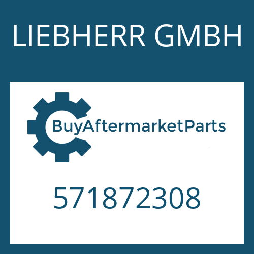 LIEBHERR GMBH 571872308 - CLUTCH CYLINDER