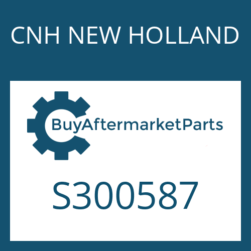 CNH NEW HOLLAND S300587 - O-RING