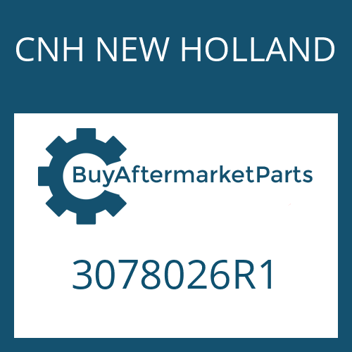 CNH NEW HOLLAND 3078026R1 - WASHER