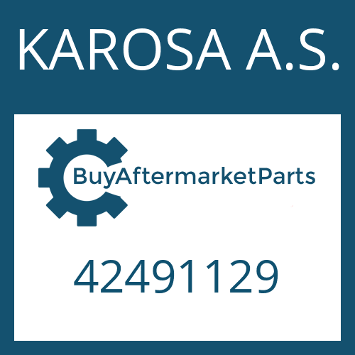 KAROSA A.S. 42491129 - RETAINING RING