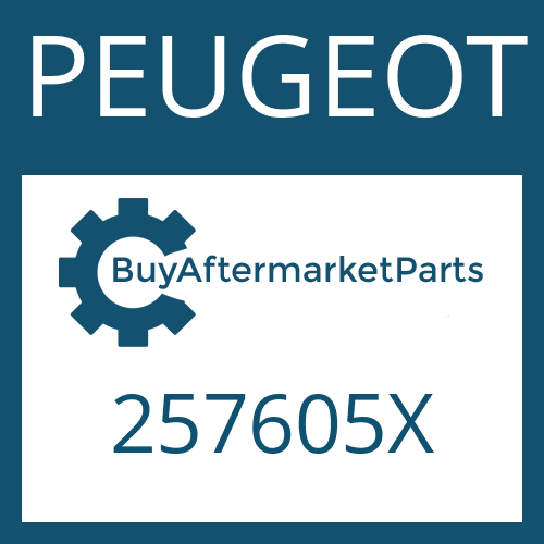 PEUGEOT 257605X - GUIDE SHEET