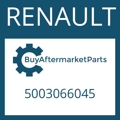 RENAULT 5003066045 - V-RING