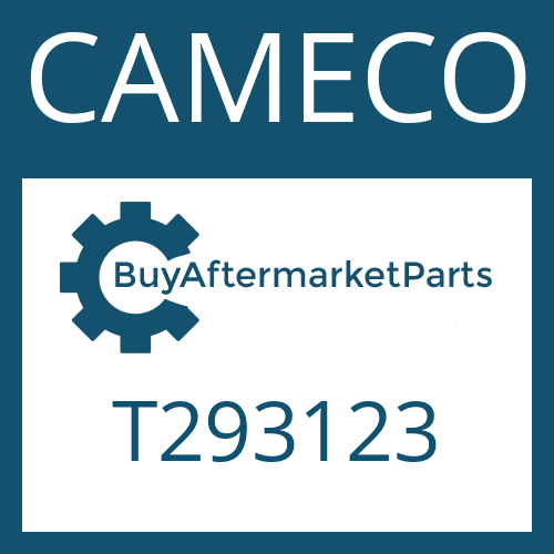 CAMECO T293123 - RING