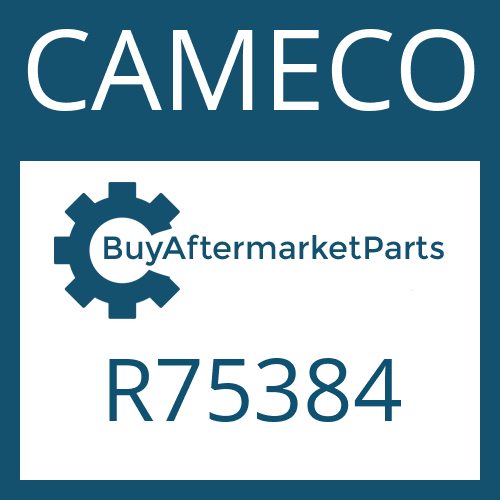 CAMECO R75384 - SPACER WASHER
