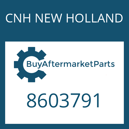 CNH NEW HOLLAND 8603791 - SPACER WASHER