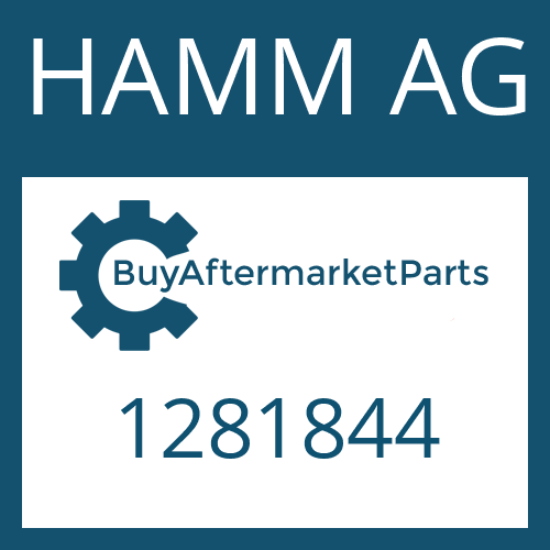 HAMM AG 1281844 - SHIM