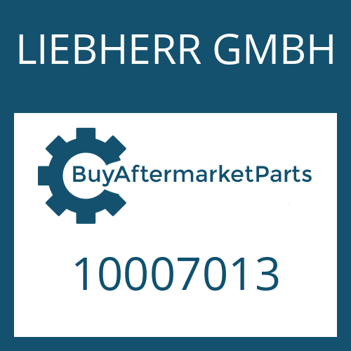 LIEBHERR GMBH 10007013 - GASKET