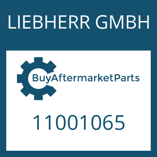 LIEBHERR GMBH 11001065 - GASKET