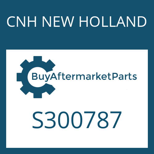 CNH NEW HOLLAND S300787 - SHIM RING