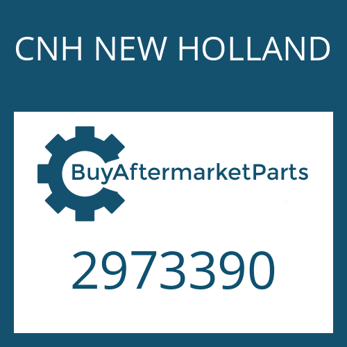CNH NEW HOLLAND 2973390 - TAB WASHER