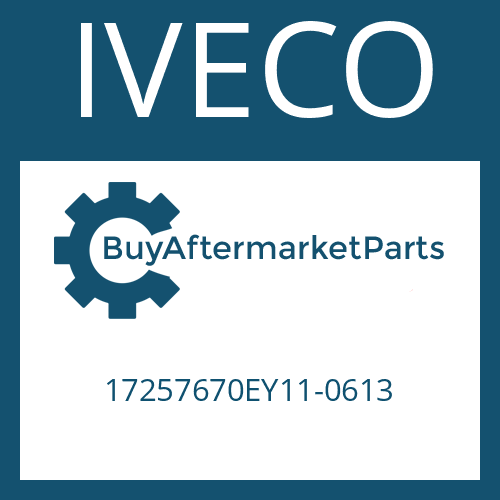 IVECO 17257670EY11-0613 - SLOTTED PIN