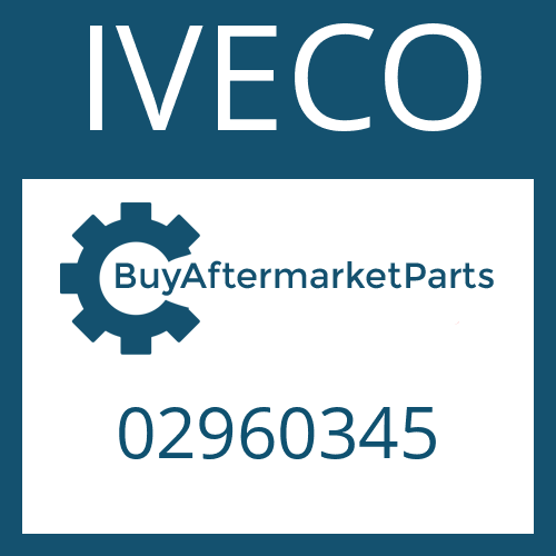 02960345 IVECO O-RING