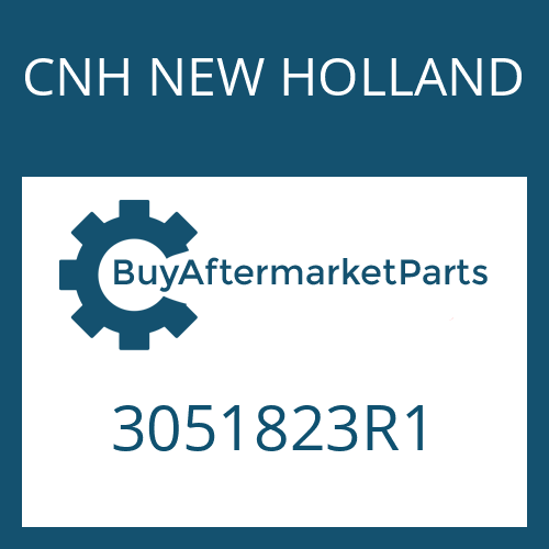 CNH NEW HOLLAND 3051823R1 - O-RING