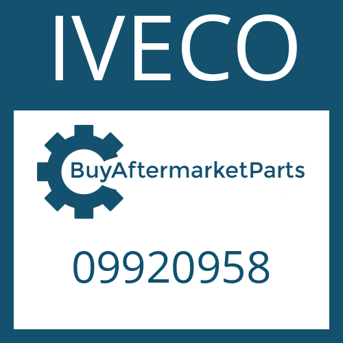 09920958 IVECO O-RING