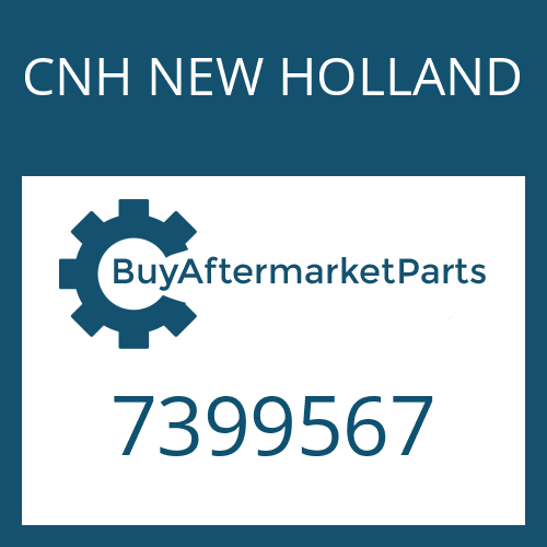 CNH NEW HOLLAND 7399567 - R-RING