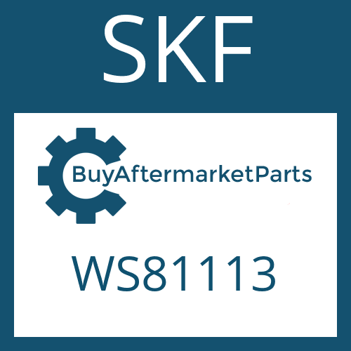 SKF WS81113 - SHAFT PLATE