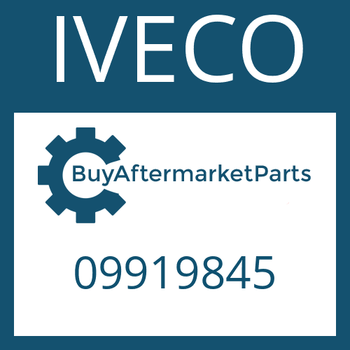 IVECO 09919845 - SEALING NUT