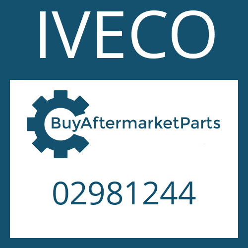 02981244 IVECO WASHER