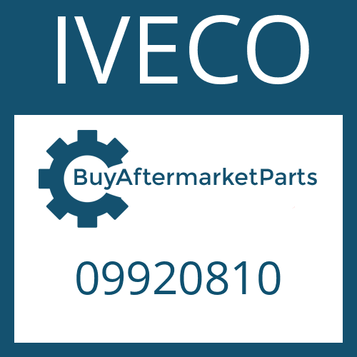 IVECO 09920810 - WASHER