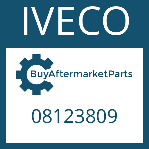 08123809 IVECO WASHER