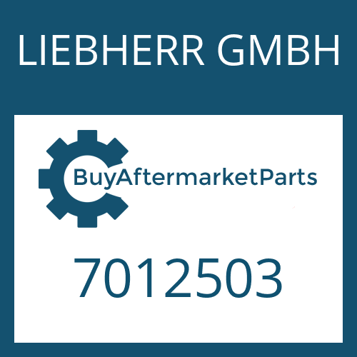 LIEBHERR GMBH 7012503 - SPACER RING