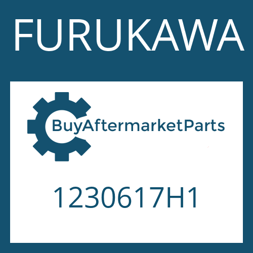 FURUKAWA 1230617H1 - WASHER