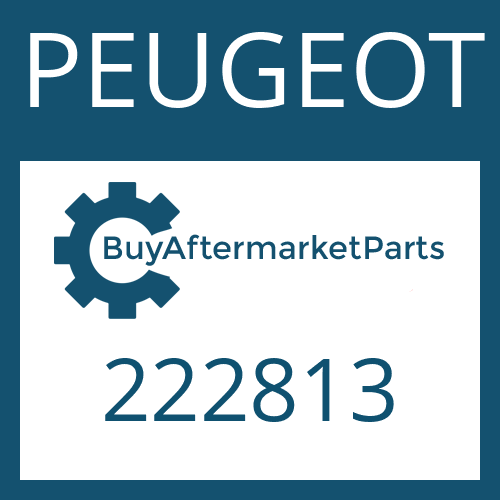 PEUGEOT 222813 - SMALL COMP.SET