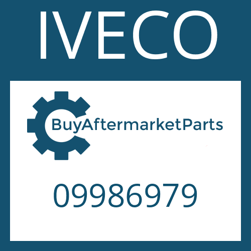 09986979 IVECO CENTERING RING