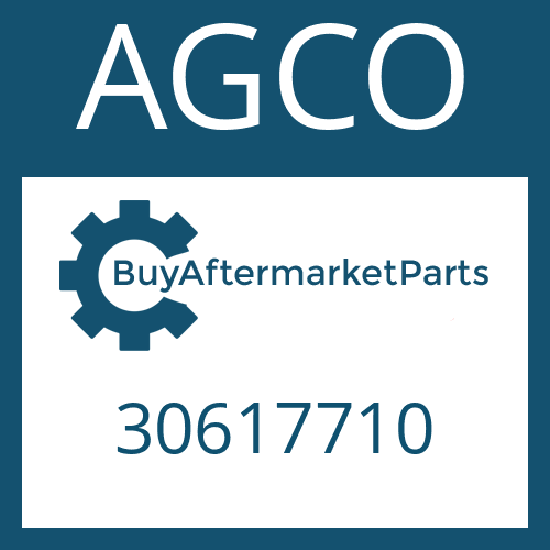 AGCO 30617710 - SYNCHRO.RING