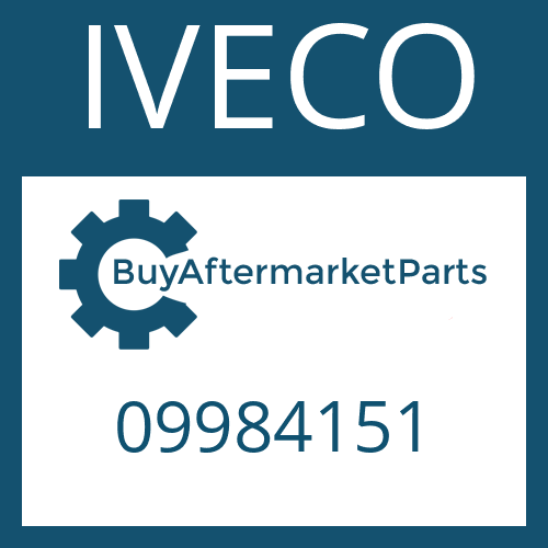 09984151 IVECO FRICTION CAP