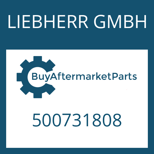 LIEBHERR GMBH 500731808 - GASKET