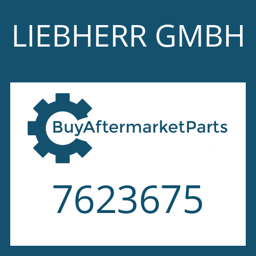LIEBHERR GMBH 7623675 - BEVEL GEAR SET