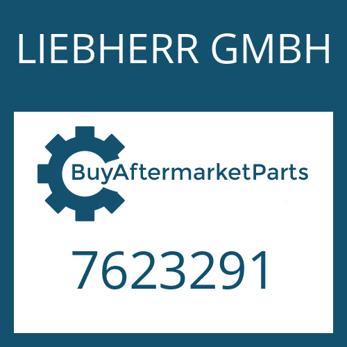 LIEBHERR GMBH 7623291 - BEVEL DRIVE