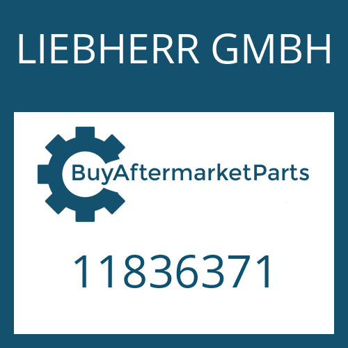LIEBHERR GMBH 11836371 - OUTPUT FLANGE