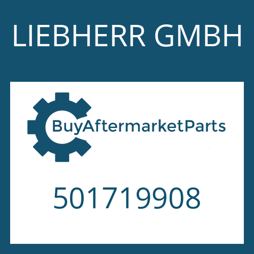 LIEBHERR GMBH 501719908 - WASHER