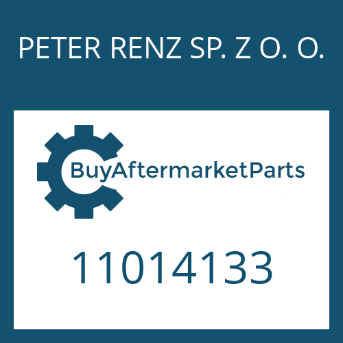 PETER RENZ SP. Z O. O. 11014133 - CAP SCREW