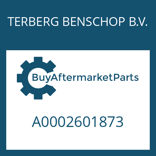 A0002601873 TERBERG BENSCHOP B.V. DETENT PLUNGER