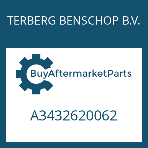 TERBERG BENSCHOP B.V. A3432620062 - WASHER
