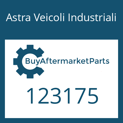 Astra Veicoli Industriali 123175 - LOCKING SCREW