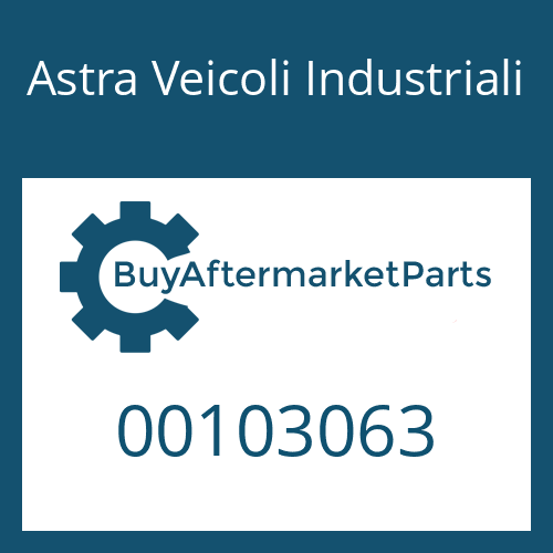 Astra Veicoli Industriali 00103063 - WASHER