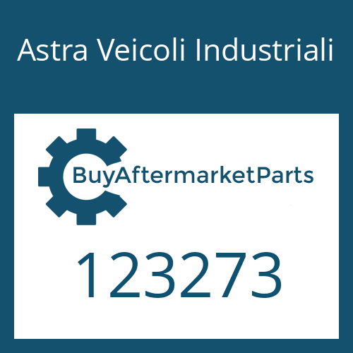 Astra Veicoli Industriali 123273 - SNAP RING